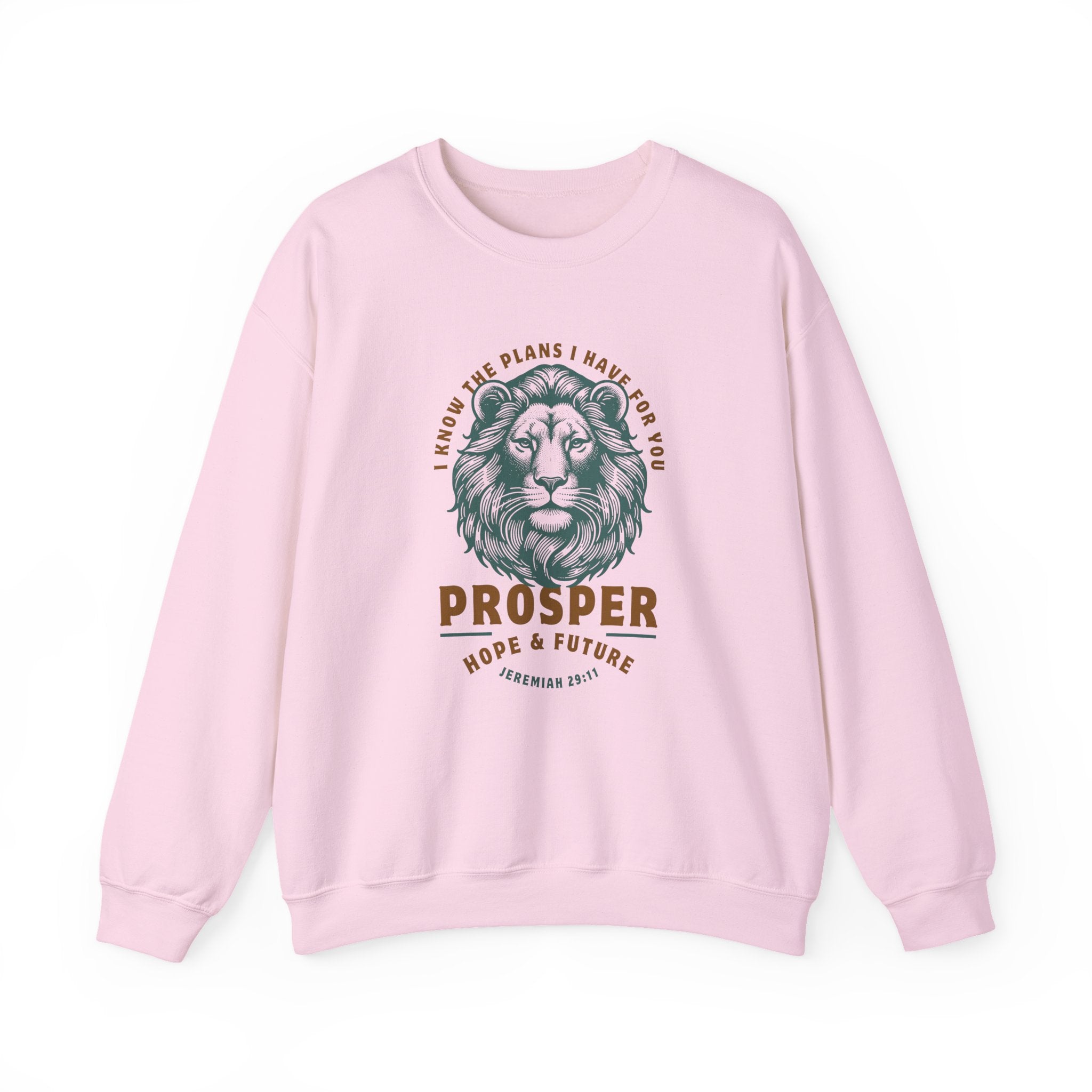 Hope & Future • Sweatshirt
