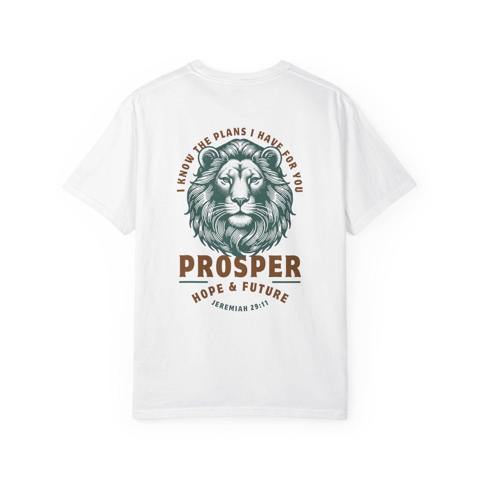 Jeremiah 29:11 • Comfort Colors Tee