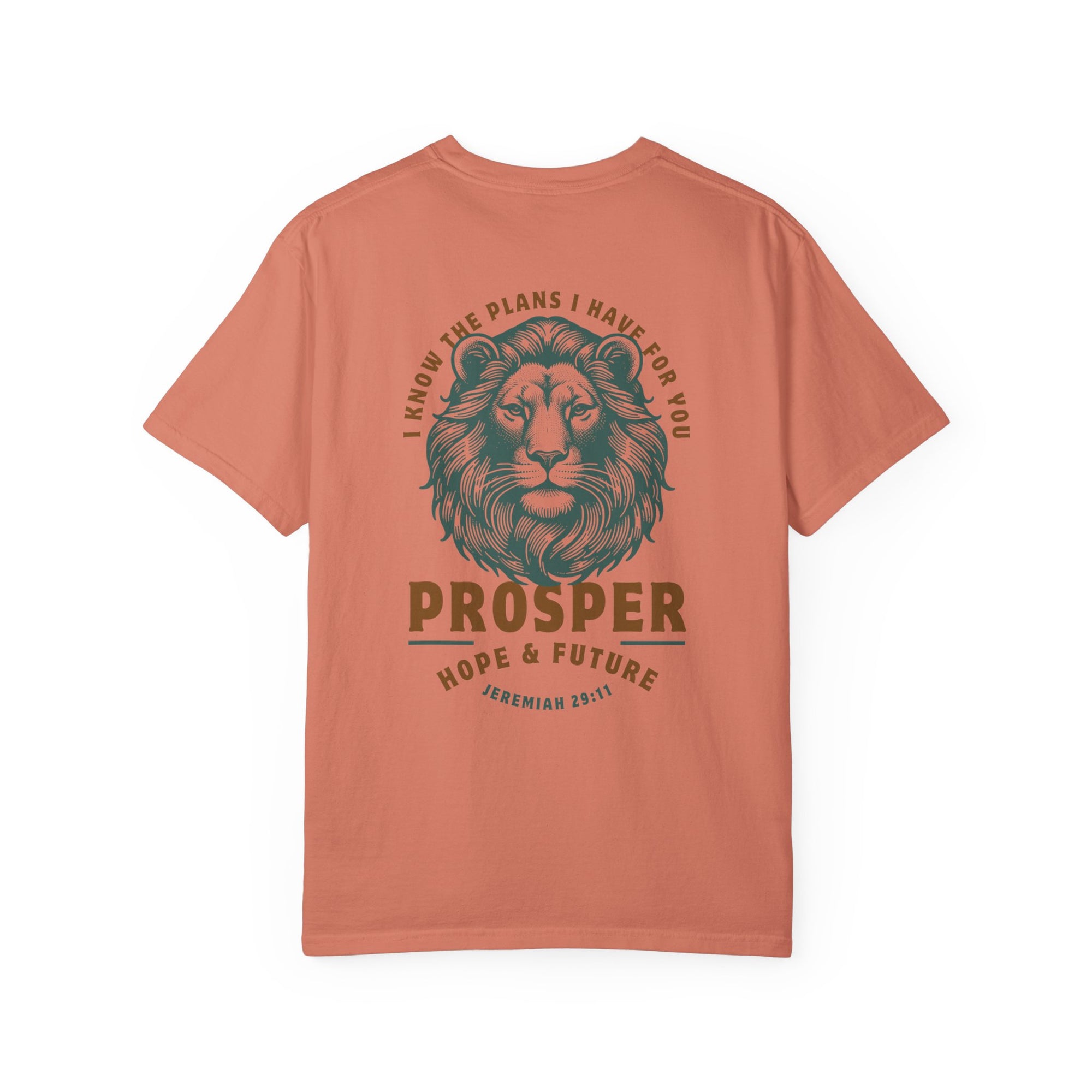 Jeremiah 29:11 • Comfort Colors Tee