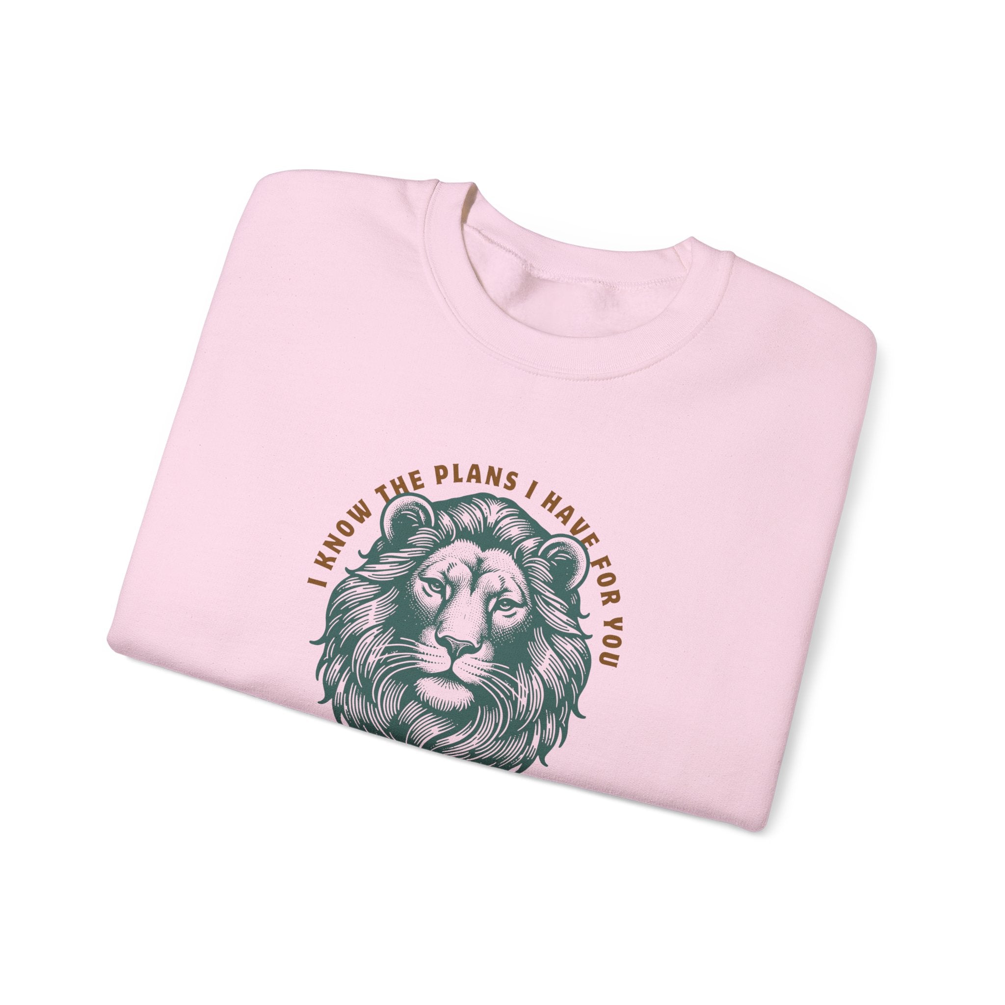 Hope & Future • Sweatshirt