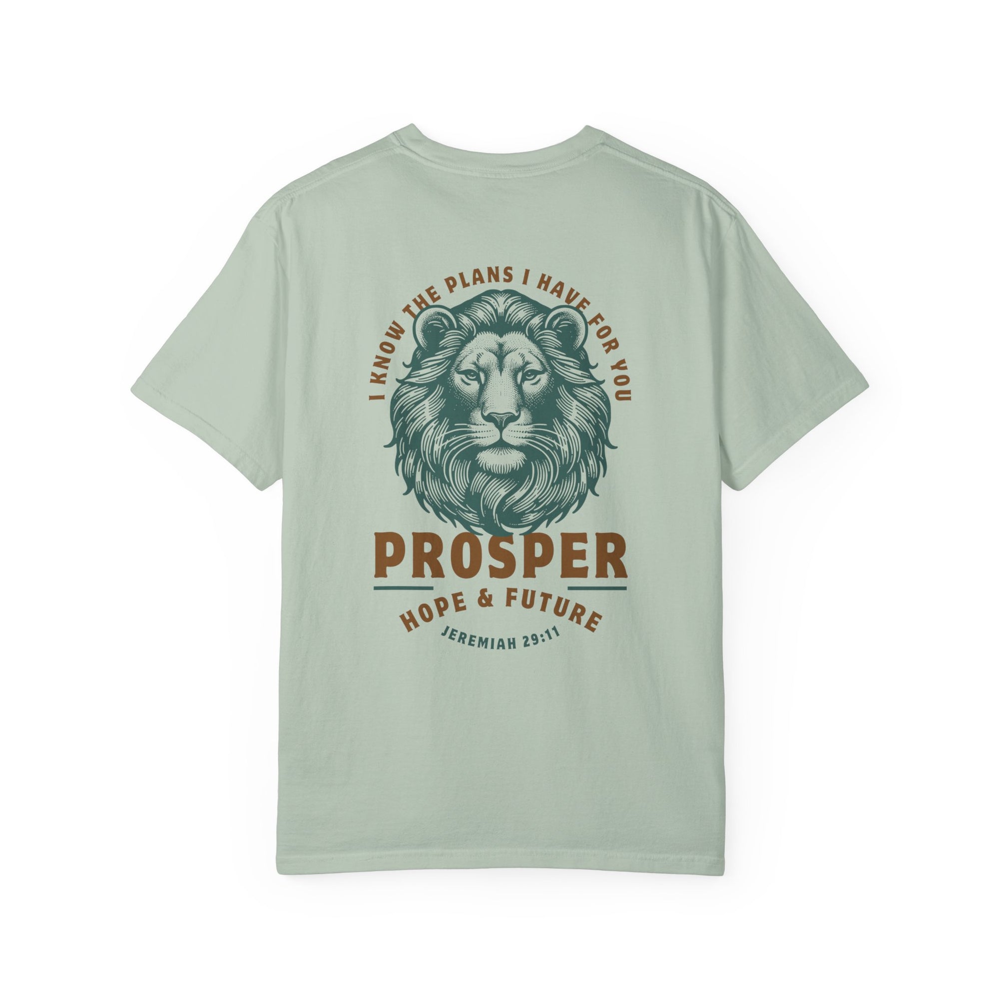 Jeremiah 29:11 • Comfort Colors Tee