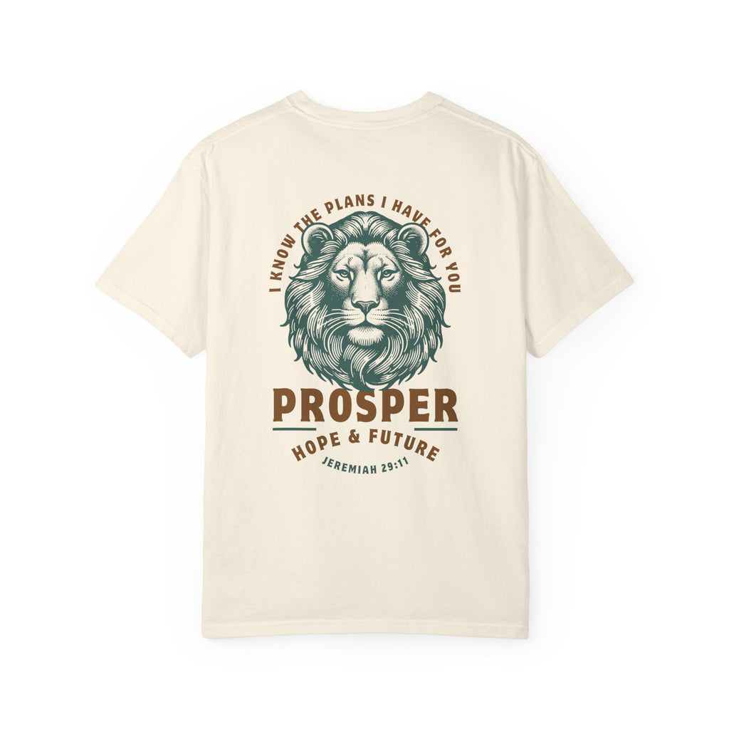 Jeremiah 29:11 • Comfort Colors Tee