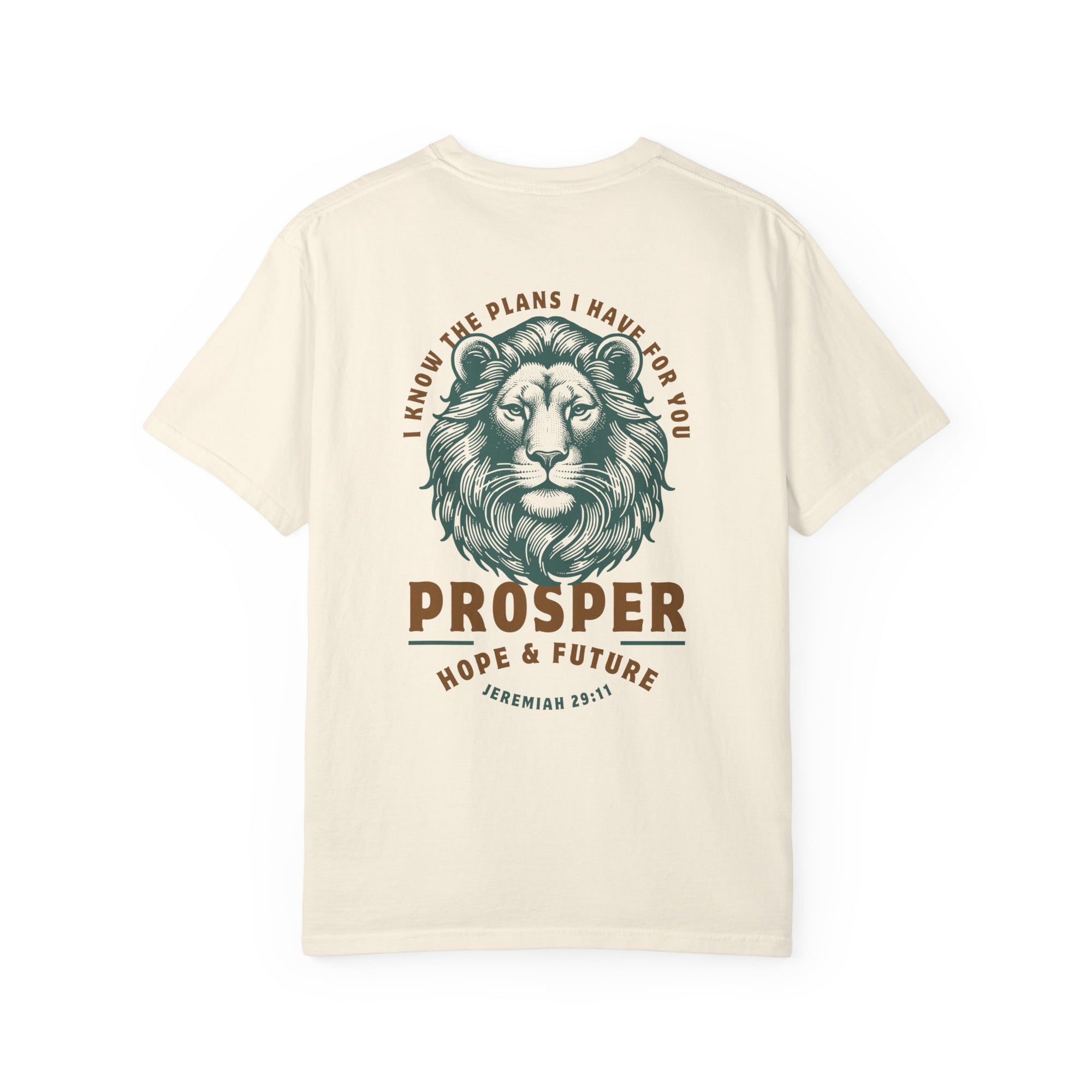 Jeremiah 29:11 • Comfort Colors Tee