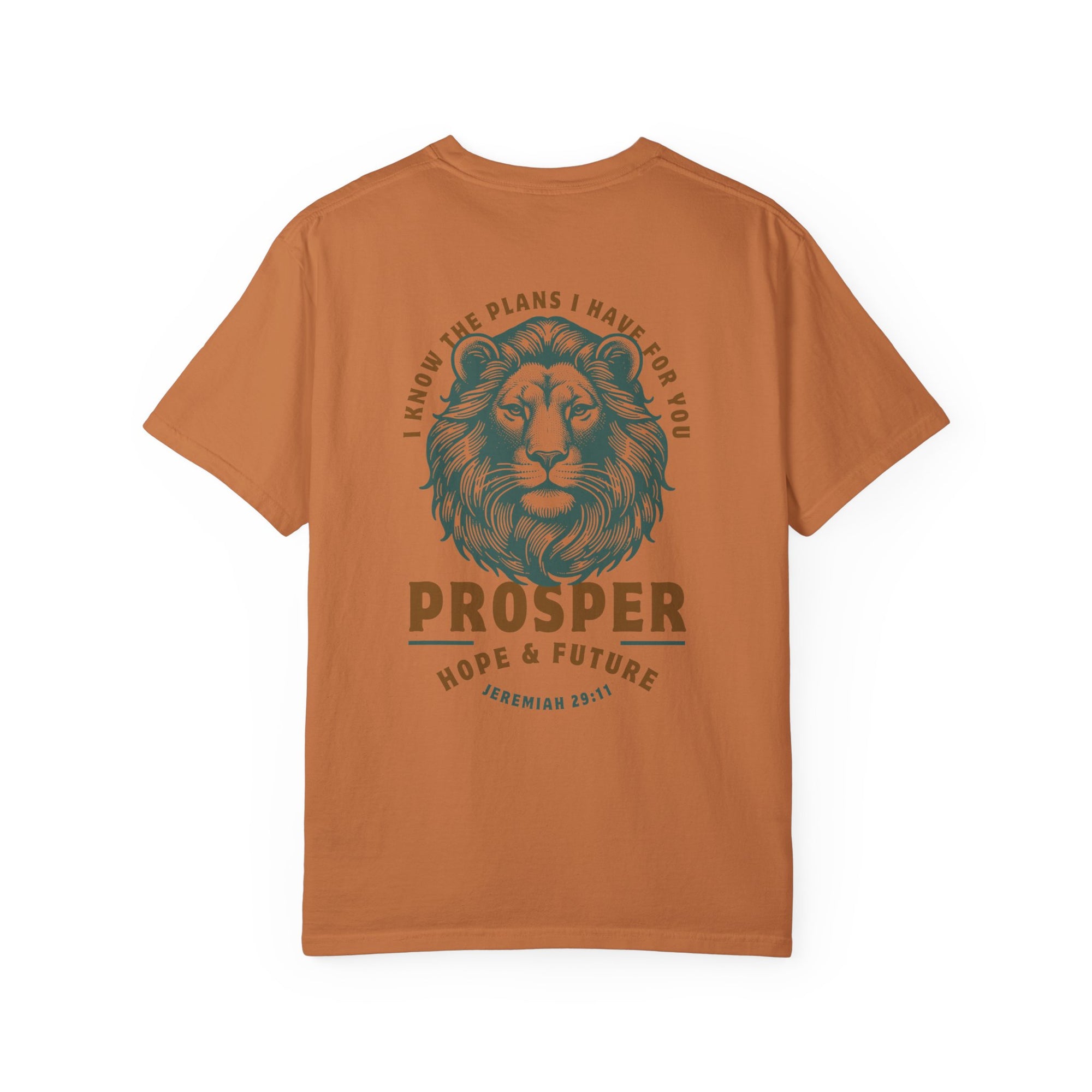 Jeremiah 29:11 • Comfort Colors Tee