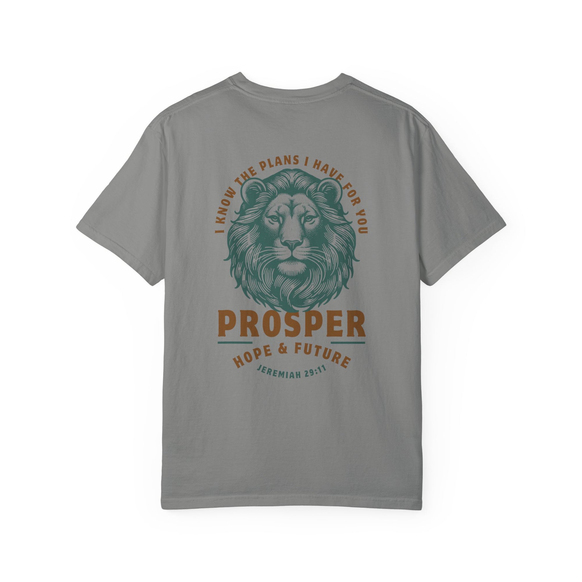 Jeremiah 29:11 • Comfort Colors Tee