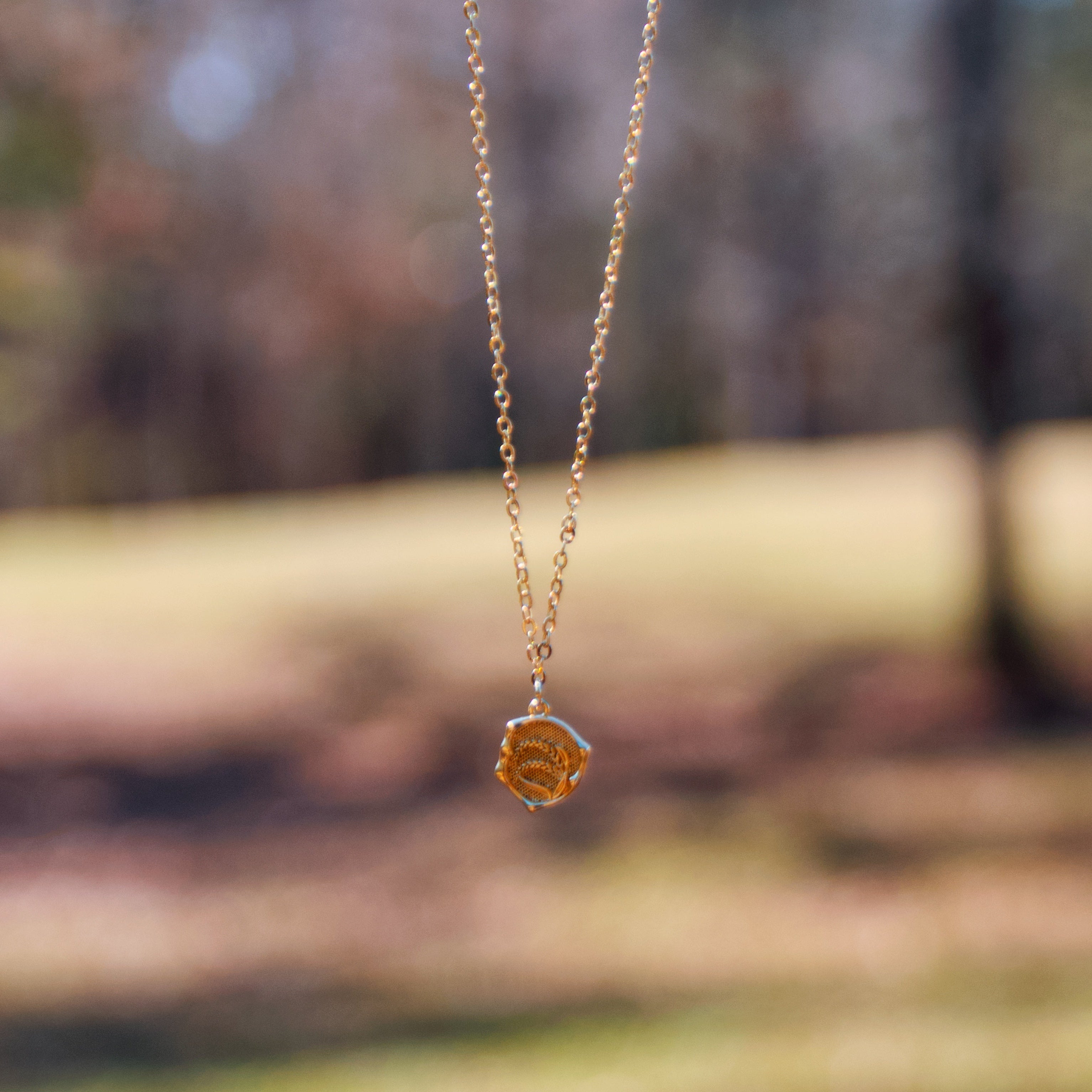 Harvest of Plenty • Gold Chain Necklace