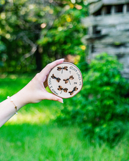 Dragonflies • Jesus Loves Me • Magnet